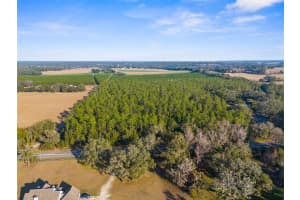 9999 SPRING LAKE HWY, BROOKSVILLE, FL 34601 - MLS#MFRW7872970