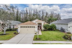 1216 WINDING WILLOW DRIVE, TRINITY, FL 34655 Sold 05/15/25