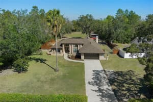 9273 BRADY STREET, SPRING HILL, FL 34608 Sold 04/18/25