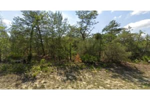 4029 ABELINE DRIVE, CITRUS SPRINGS, FL 34433 Sold 05/30/25