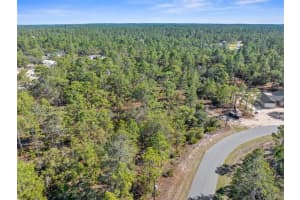 4029 ABELINE DRIVE, CITRUS SPRINGS, FL 34433 Sold 05/30/25