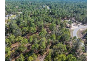 4029 ABELINE DRIVE, CITRUS SPRINGS, FL 34433 Sold 05/30/25