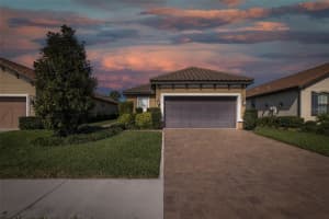 11383 CALLISIA DRIVE, ODESSA, FL 33556 Sold 06/18/25