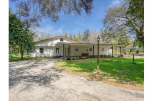 14821 SASSANDRA DRIVE, ODESSA, FL 33556 - MLS#MFRW7873058