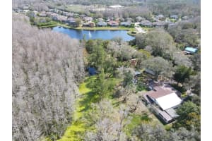 14821 SASSANDRA DRIVE, ODESSA, FL 33556 - MLS#MFRW7873058