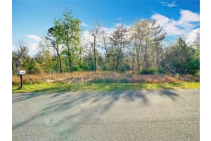 11426 MARIPOE ROAD, WEEKI WACHEE, FL 34614 - MLS#MFRW7873101