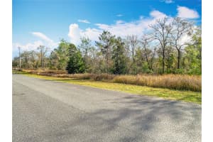 11426 MARIPOE ROAD, WEEKI WACHEE, FL 34614 - MLS#MFRW7873101