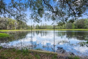 PUMPKIN PATH, BROOKSVILLE, FL 34602 - MLS#MFRW7873133