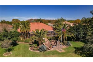 370 TALL OAK TRAIL, TARPON SPRINGS, FL 34688 - MLS#MFRW7873135