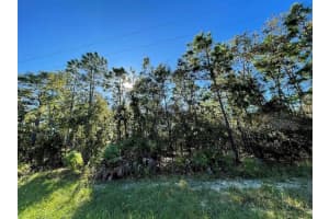 16 MAYTEN COURT, HOMOSASSA, FL 34446 - MLS#MFRW7873270