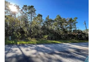 16 MAYTEN COURT, HOMOSASSA, FL 34446 - MLS#MFRW7873270