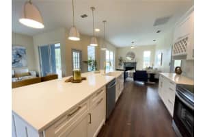6393 PINEHURST DRIVE, SPRING HILL, FL 34606 Sold 06/23/25