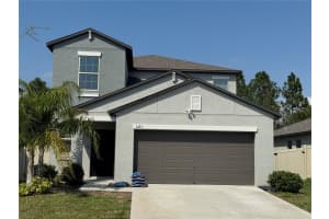 6123 APPLE SNAIL AVENUE, NEW PORT RICHEY, FL 34653 Sold 04/09/25