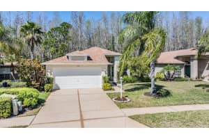 1107 SWEET JASMINE DRIVE, TRINITY, FL 34655 Sold 04/21/25