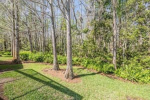 1107 SWEET JASMINE DRIVE, TRINITY, FL 34655 Sold 04/21/25