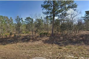 16382 KINGBIRD ROAD, BROOKSVILLE, FL 34614 Sold 08/08/25
