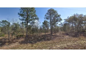 16382 KINGBIRD ROAD, BROOKSVILLE, FL 34614 Sold 08/08/25