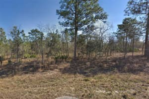 16382 KINGBIRD ROAD, BROOKSVILLE, FL 34614 Sold 08/08/25