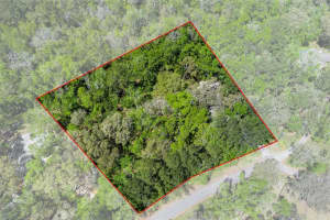 4319 BESSEMER ROAD, BROOKSVILLE, FL 34602 Sold 04/25/25