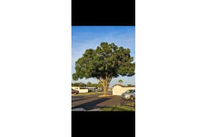 36312 TORANADO WAY, ZEPHYRHILLS, FL 33541 Sold 06/19/25