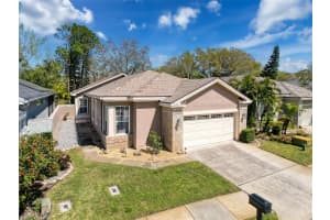 3555 SYLVAN EDGE DR, PALM HARBOR, FL 34685 Sold 08/15/25