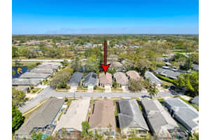 3555 SYLVAN EDGE DR, PALM HARBOR, FL 34685 Sold 08/15/25