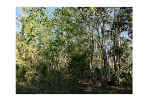 INDIAN BAY RD, SPRING HILL, FL 34607 - MLS#MFRW7873429