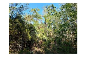 INDIAN BAY RD, SPRING HILL, FL 34607 - MLS#MFRW7873429