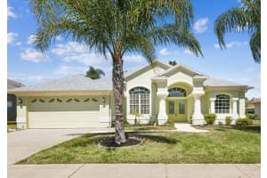 10285 VELVETSEED CIRCLE, SPRING HILL, FL 34608 Sold 07/07/25