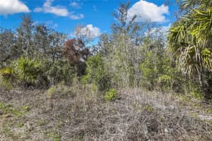 OZARK, HUDSON, FL 34667 - MLS#MFRW7873455