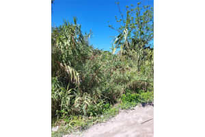 14703 KINGFISH LANE, HUDSON, FL 34667 Sold 08/06/25