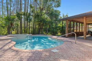 19019 3RD STREET, LUTZ, FL 33549 - MLS#MFRW7873501