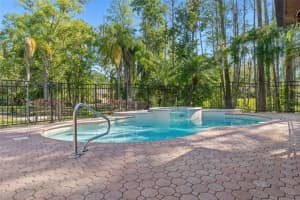 19019 3RD STREET, LUTZ, FL 33549 - MLS#MFRW7873501