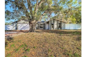 11085 MADERIA STREET, SPRING HILL, FL 34609 Sold 04/21/25