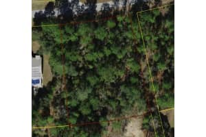 3614 GIRAFFE DRIVE, CITRUS SPRINGS, FL 34433 Sold 10/14/25