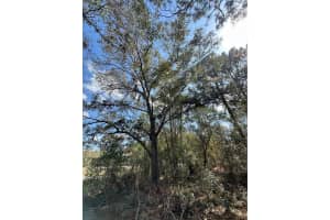 0 COURLAN ROAD, BROOKSVILLE, FL 34614 - MLS#MFRW7873542
