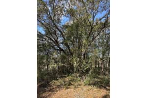 0 COURLAN ROAD, BROOKSVILLE, FL 34614 - MLS#MFRW7873542