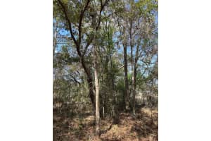 0 COURLAN ROAD, BROOKSVILLE, FL 34614 - MLS#MFRW7873542