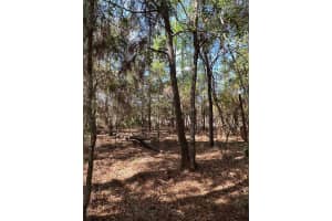 0 COURLAN ROAD, BROOKSVILLE, FL 34614 - MLS#MFRW7873543