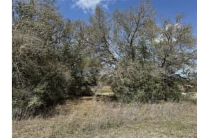 0 COURLAN ROAD, BROOKSVILLE, FL 34614 - MLS#MFRW7873544