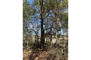 0 COURLAN ROAD, BROOKSVILLE, FL 34614 - MLS#MFRW7873544