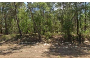 27 VILLAGE CENTER DRIVE, HOMOSASSA, FL 34446 Sold 07/25/25