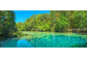 27 VILLAGE CENTER DRIVE, HOMOSASSA, FL 34446 Sold 07/25/25