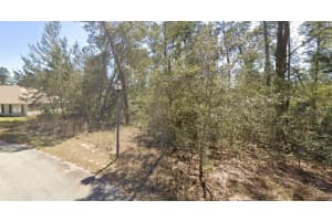 19 LOBELIA COURT, HOMOSASSA, FL 34446 Sold 07/25/25