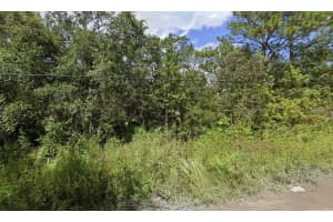 00 MORTON STREET, NEW PORT RICHEY, FL 34654 - MLS#MFRW7873591