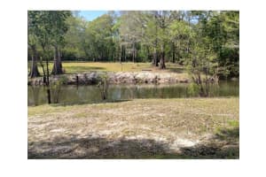 TIGER ST, DADE CITY, FL 33523 - MLS#MFRW7873611