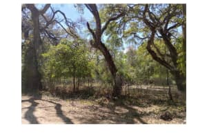 TIGER ST, DADE CITY, FL 33523 - MLS#MFRW7873611