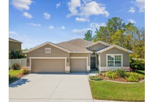 13619 BEE TREE COURT, HUDSON, FL 34669 Sold 04/29/25