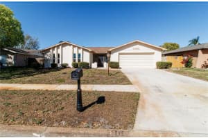 11001 Peppertree Ln, PORT RICHEY