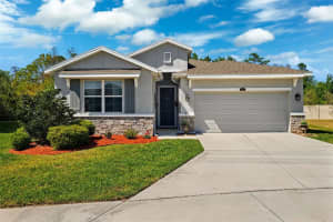 15793 MIDNIGHT DOVE COURT, ODESSA, FL 33556 Sold 07/09/25
